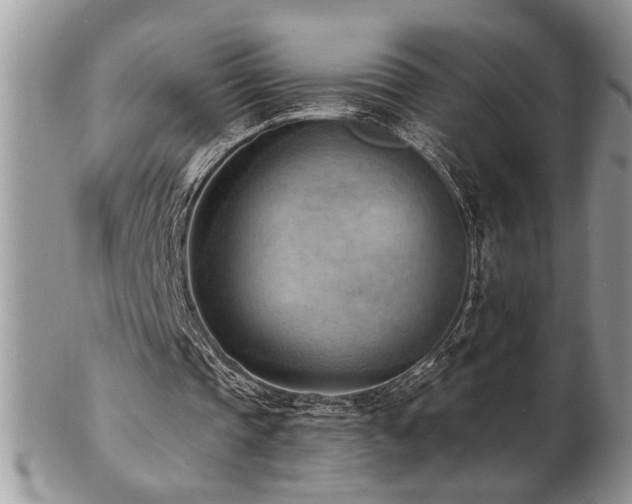 X0000103240337200808281446