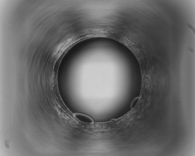 X0000103240338200808281446