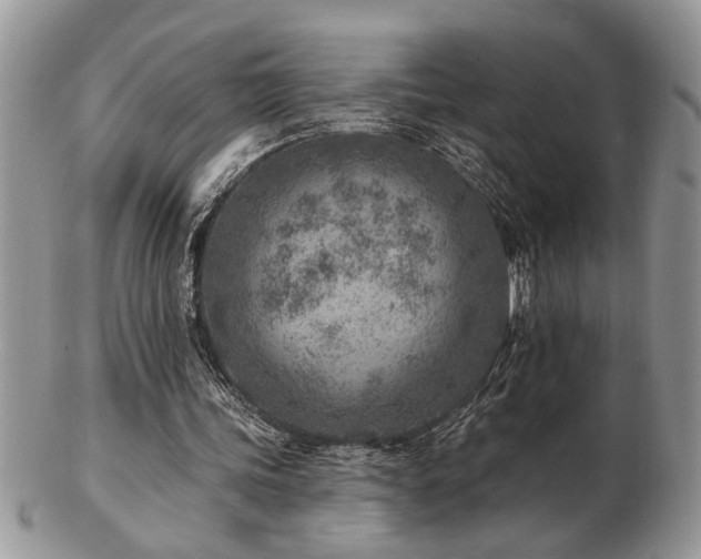 X0000103240339200808281446