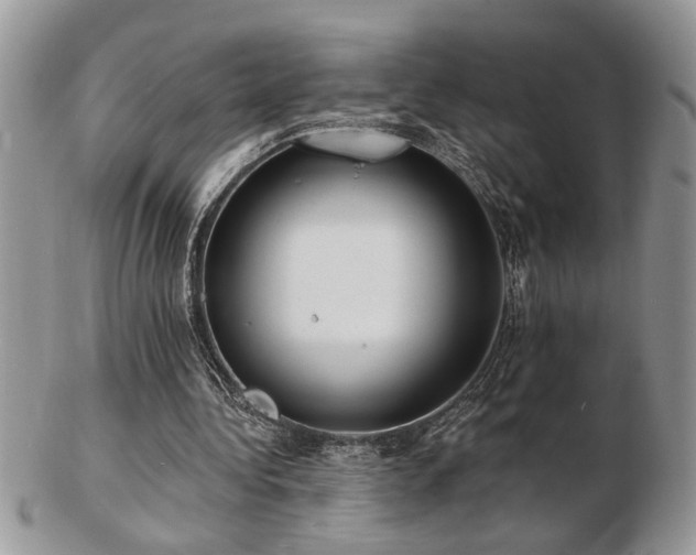 X0000103240340200808281446