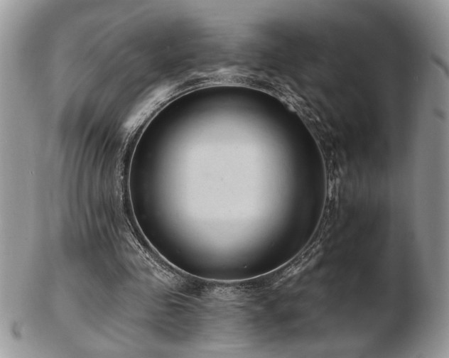 X0000103240341200808281446