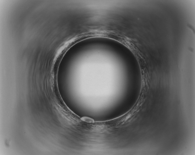X0000103240342200808281446