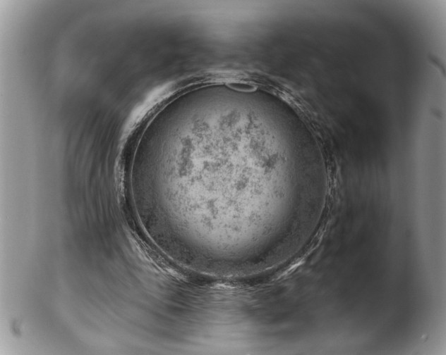 X0000103240343200808281446