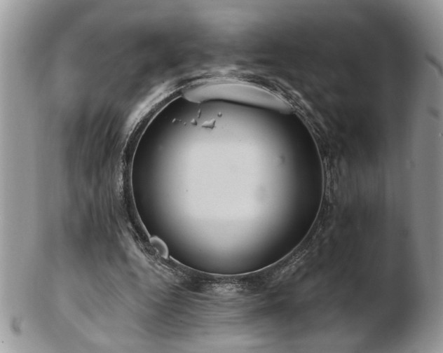X0000103240344200808281446