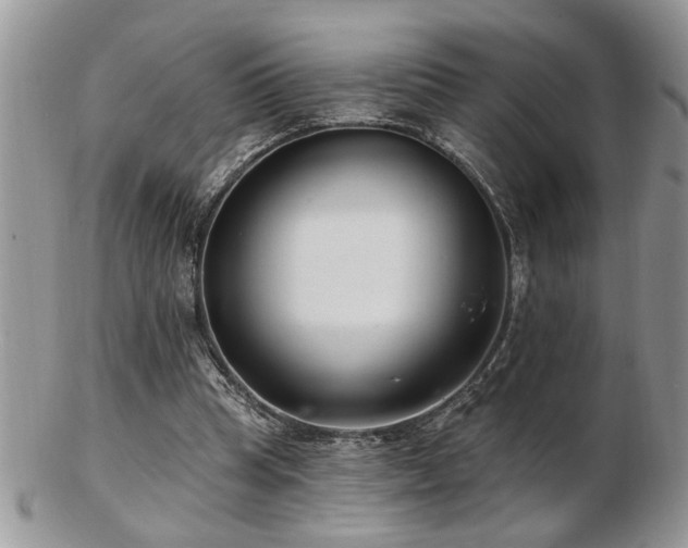 X0000103240345200808281446