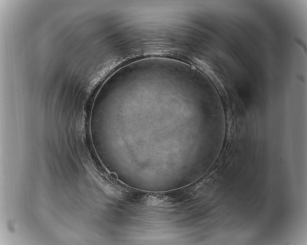 X0000103240346200808281446