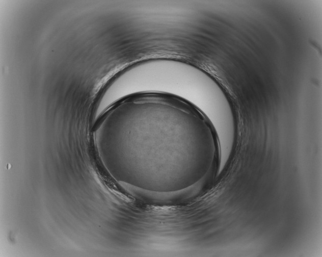 X0000103240348200808281446