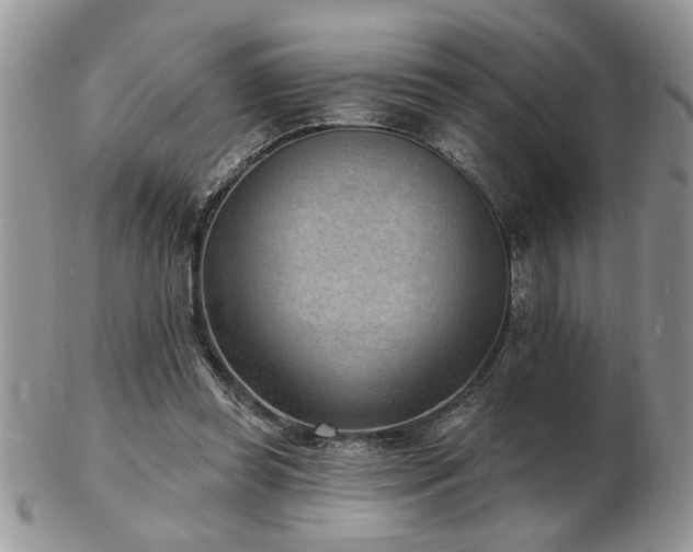 X0000103240349200808281446