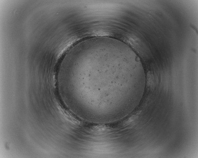 X0000103240351200808281446