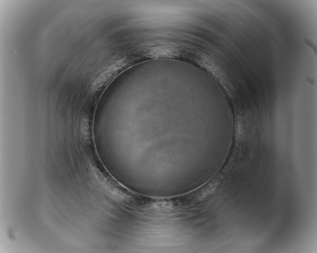 X0000103240353200808281446