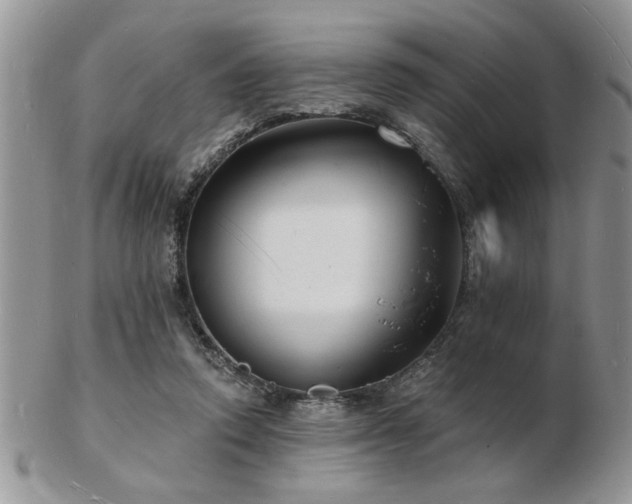 X0000103240354200808281446