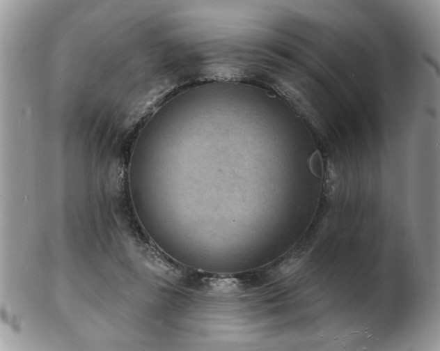 X0000103240355200808281446