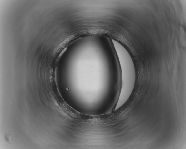 X0000103240356200808281446