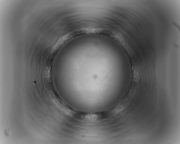 X0000103240357200808281446