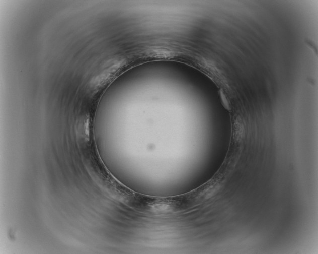 X0000103240358200808281446