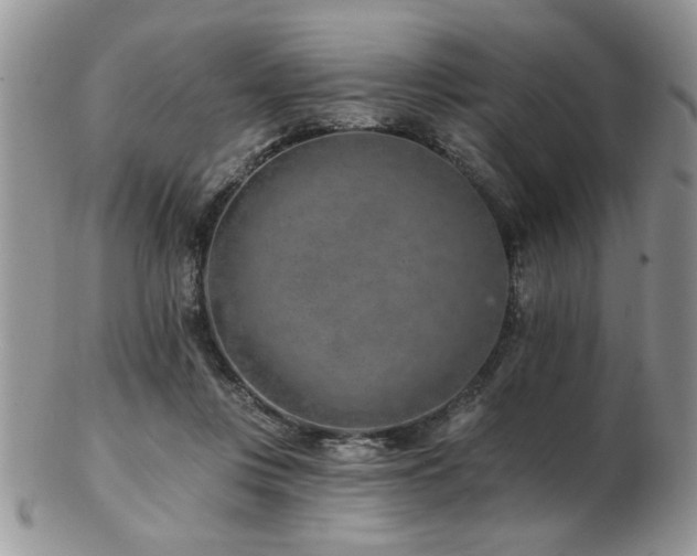 X0000103240359200808281446
