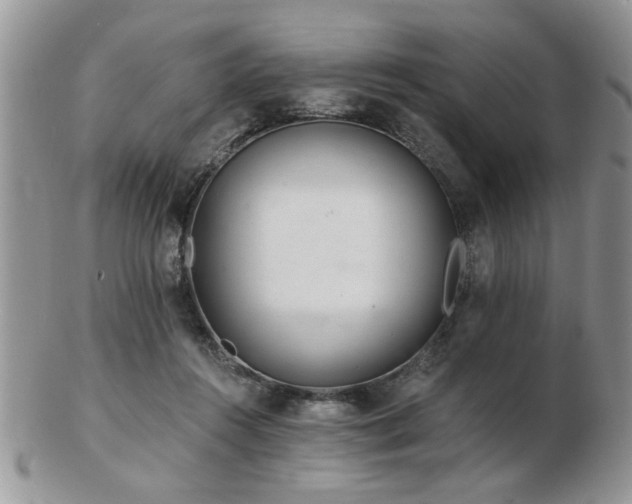 X0000103240360200808281446