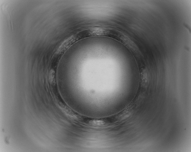 X0000103240361200808281446