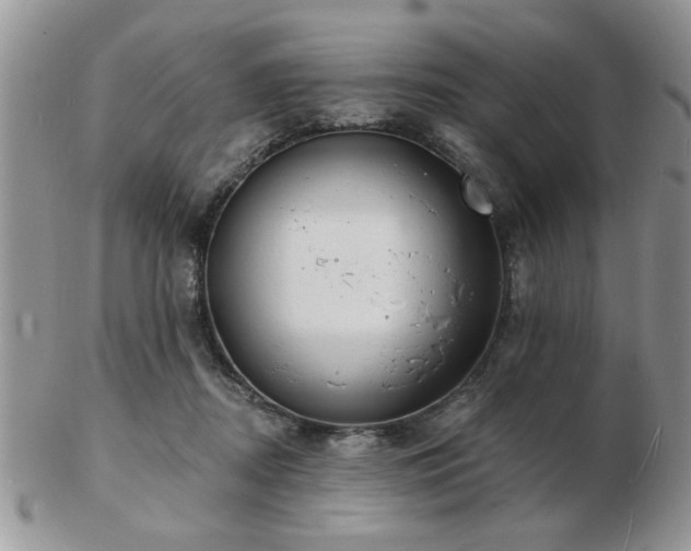 X0000103240362200808281446