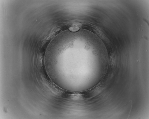 X0000103240363200808281446
