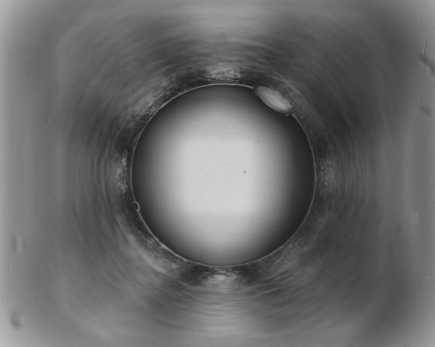 X0000103240364200808281446