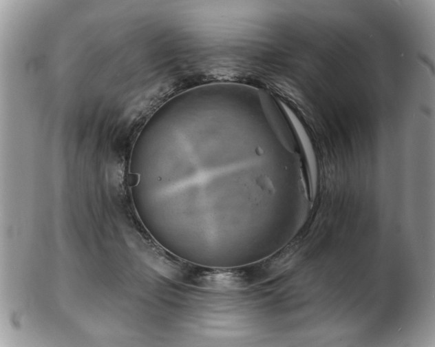 X0000103240365200808281446