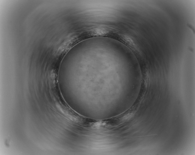 X0000103240366200808281446