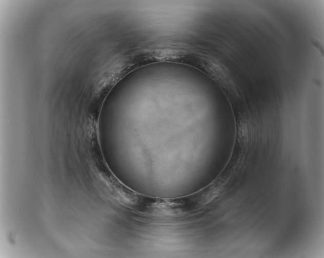 X0000103240367200808281446