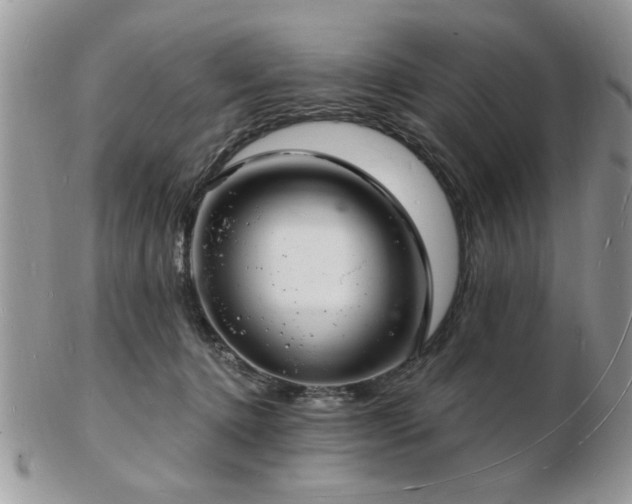X0000103240368200808281446