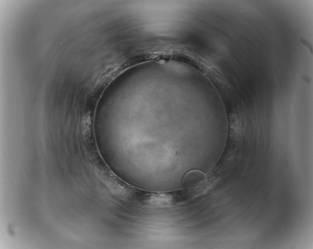X0000103240369200808281446