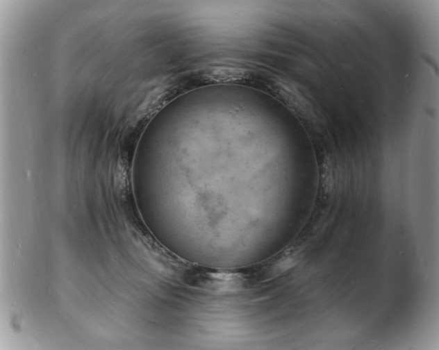 X0000103240371200808281446