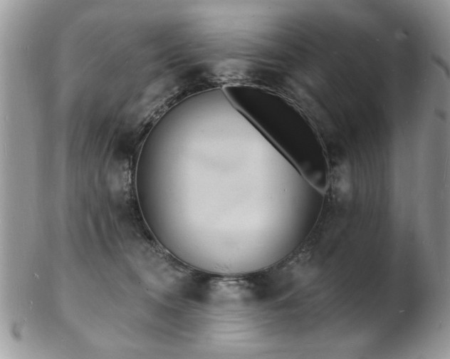 X0000103240372200808281446