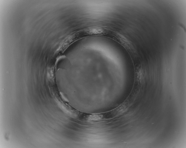 X0000103240373200808281446