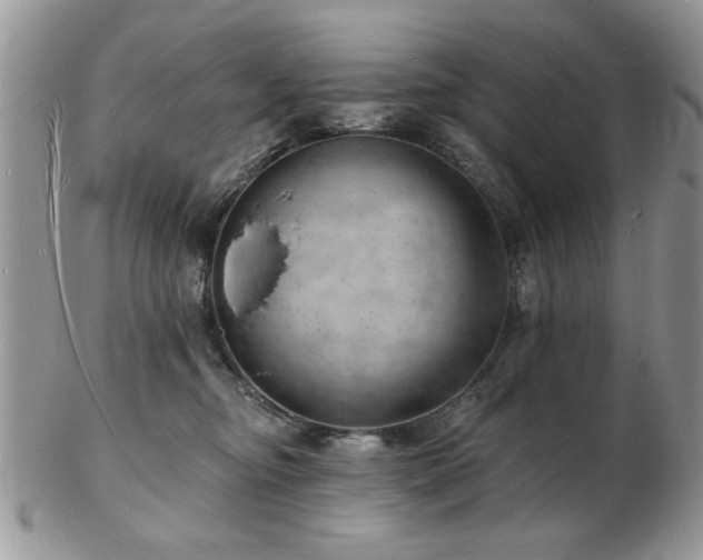X0000103240374200808281446