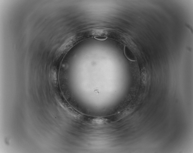 X0000103240375200808281446