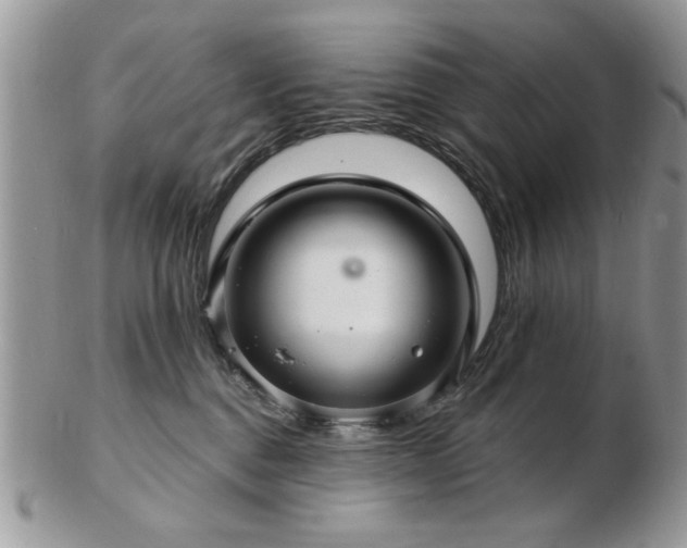 X0000103240376200808281446