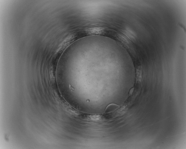 X0000103240377200808281446