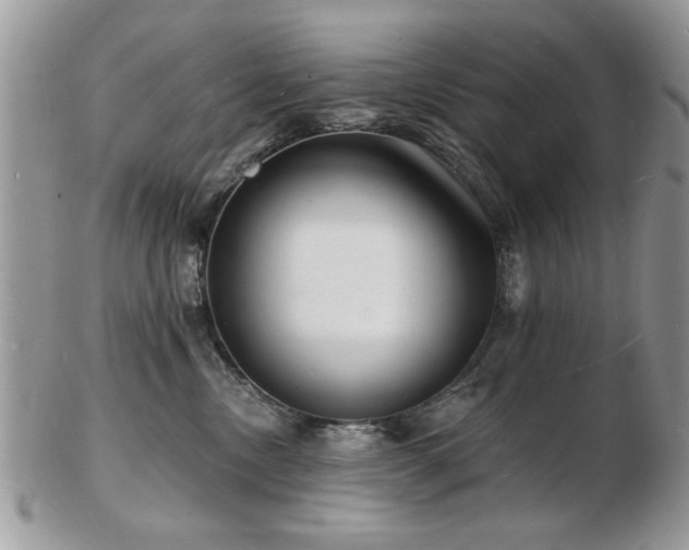 X0000103240378200808281446