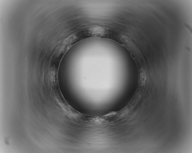X0000103240379200808281446