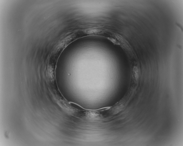 X0000103240380200808281446