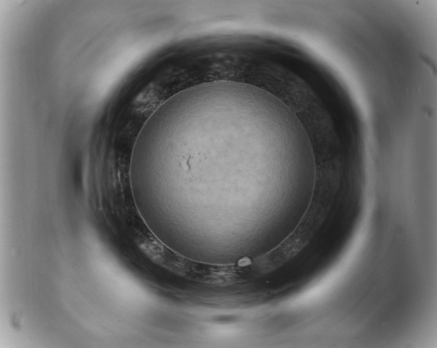 X0000103240382200808281446