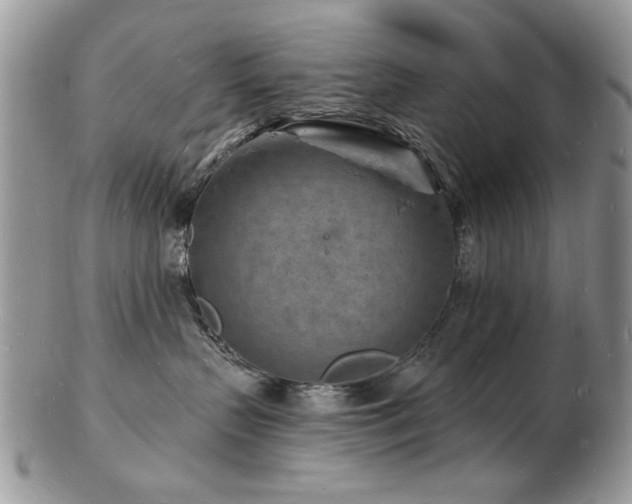 X0000103240383200808281446