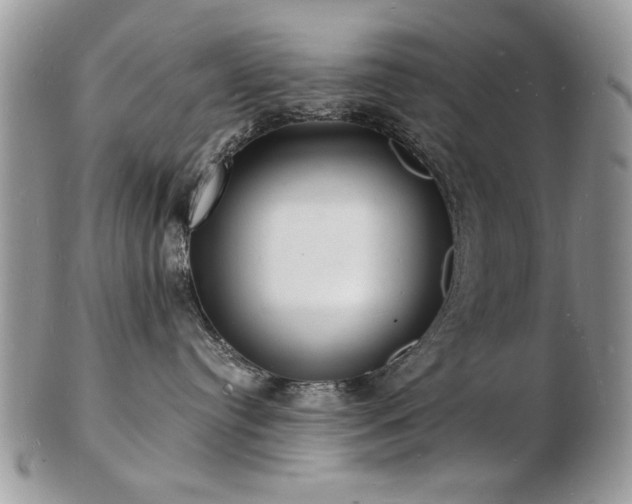 X0000103240384200808281446
