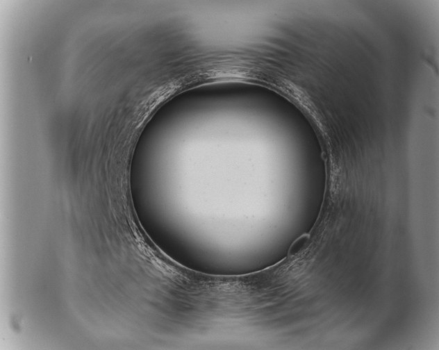 X0000103240385200808281446