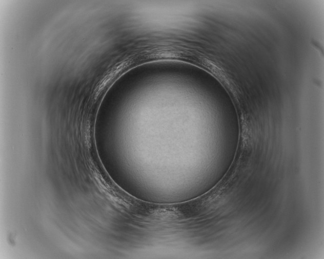 X0000103240386200808281446
