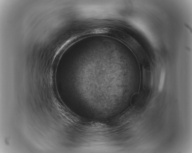X0000103240387200808281446