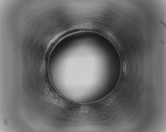 X0000103240388200808281446