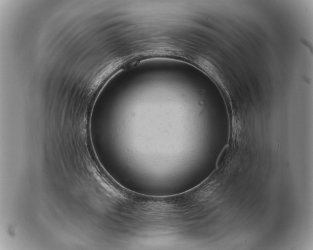 X0000103240389200808281446