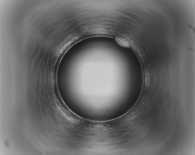 X0000103240390200808281445