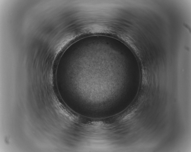 X0000103240391200808281445
